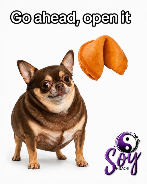 Soy Hibachi fortune cookie post